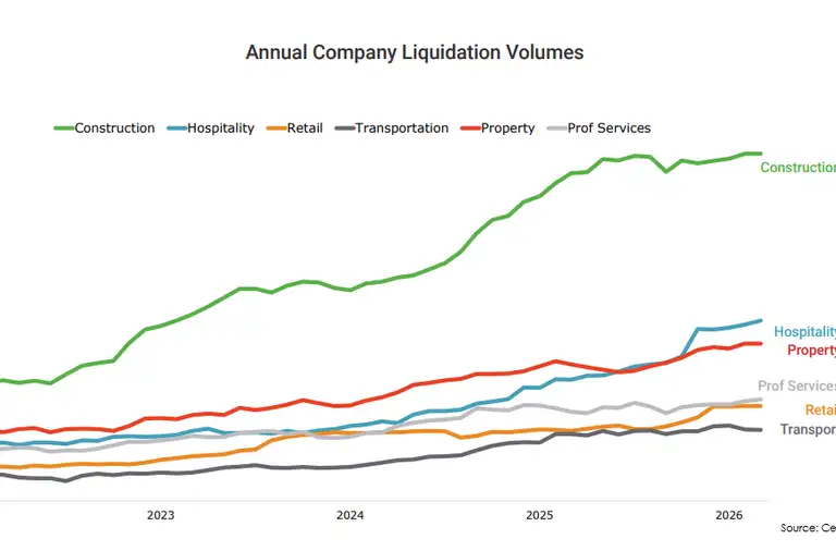 Char of annual company liquidation volumes