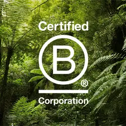 B Corp logo overlaid on a thriving native forest.