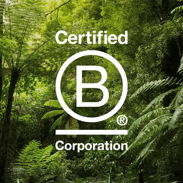 B Corp logo overlaid on a thriving native forest.