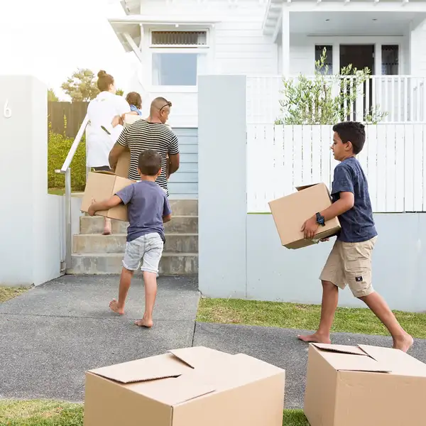 Boxes in front of the house