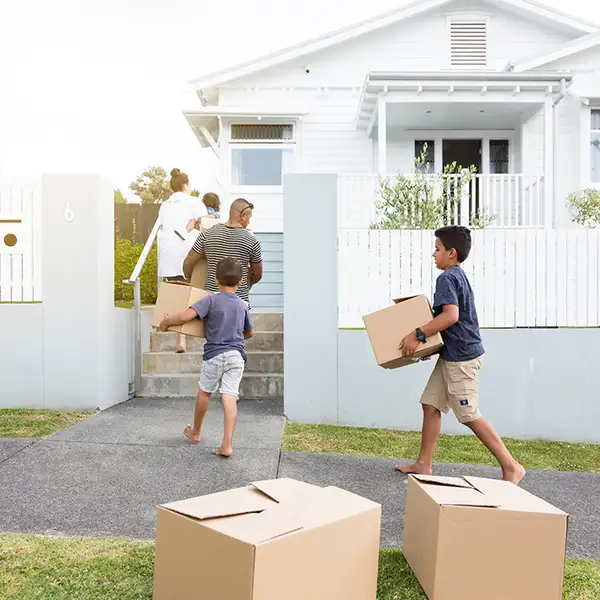 Boxes in front of the house