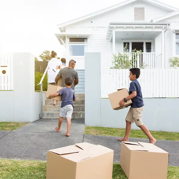 Boxes in front of the house