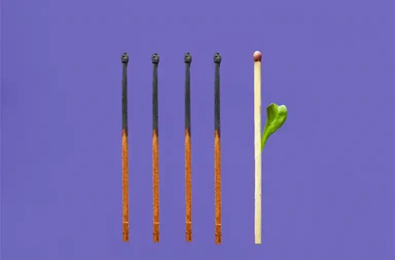 Burnt matches to new life