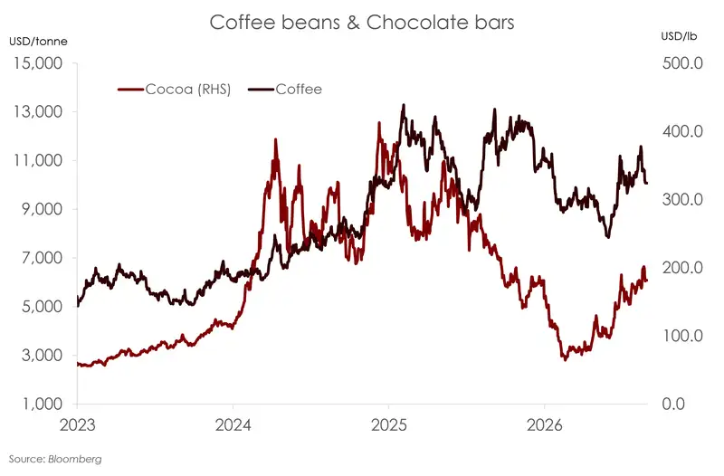 Coffee beans & chocolate bars_website