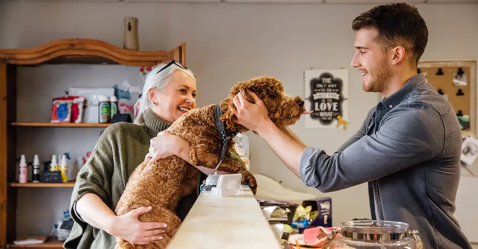 Dog groomer