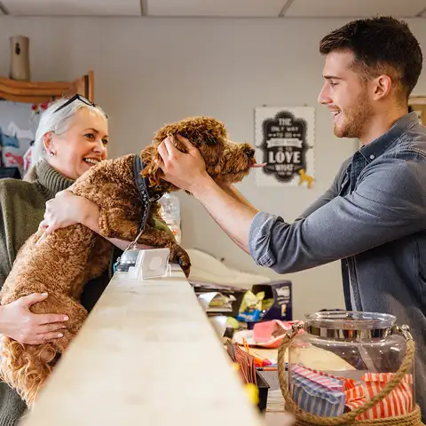 Dog groomer