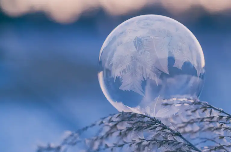 Frozen globe fern pattern