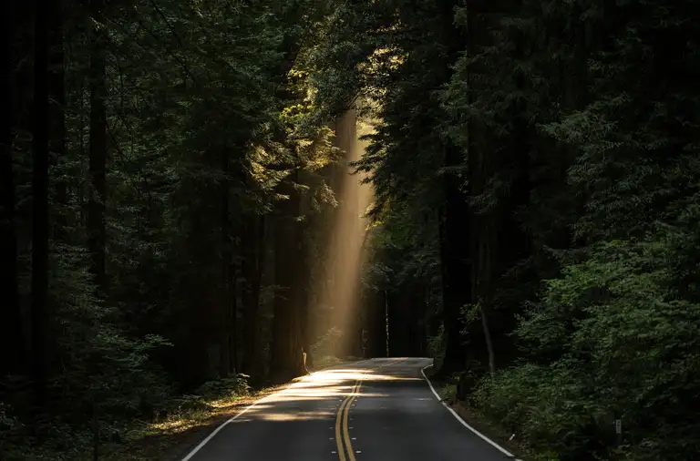 Hope, light in the trees, road