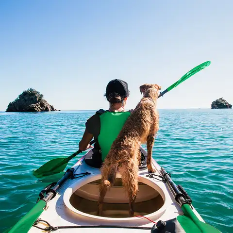 Person and dog paddle kayak on ocean towards small island