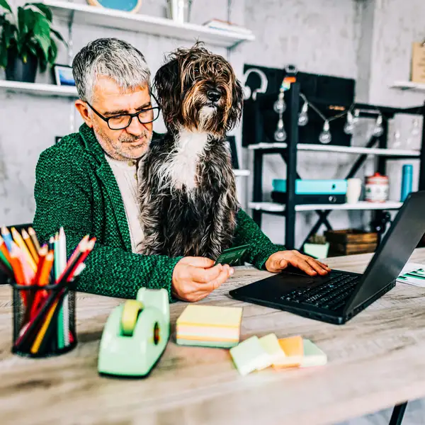 Person using laptop with dog at home office desk
