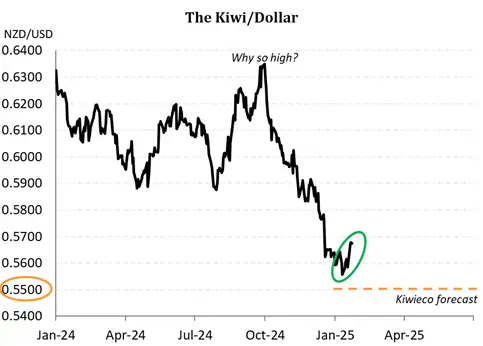 NZD_Jan24