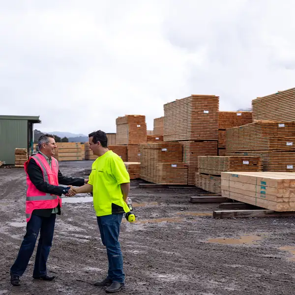 Two people shaking hands in a timber yard surrounded by stacked lumber.