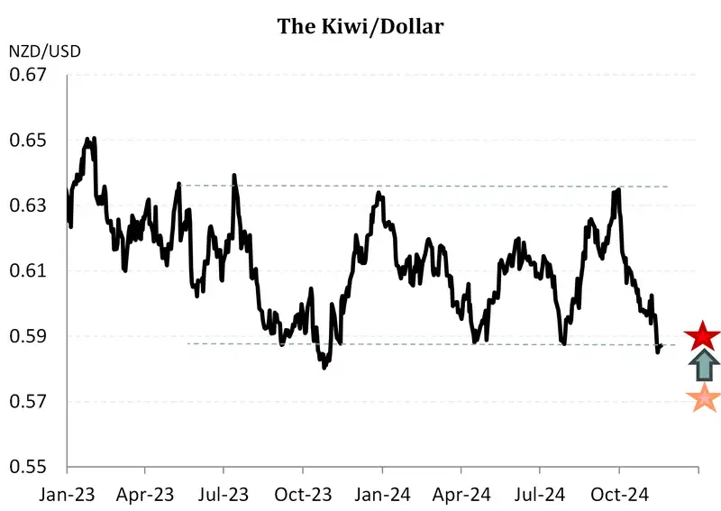 Travelling Economist Nov24 NZD