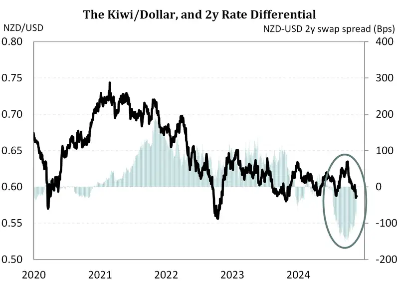 Travelling Economist Nov24 NZD 2yr