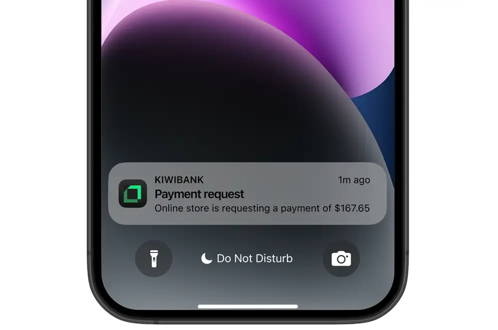 payment notification