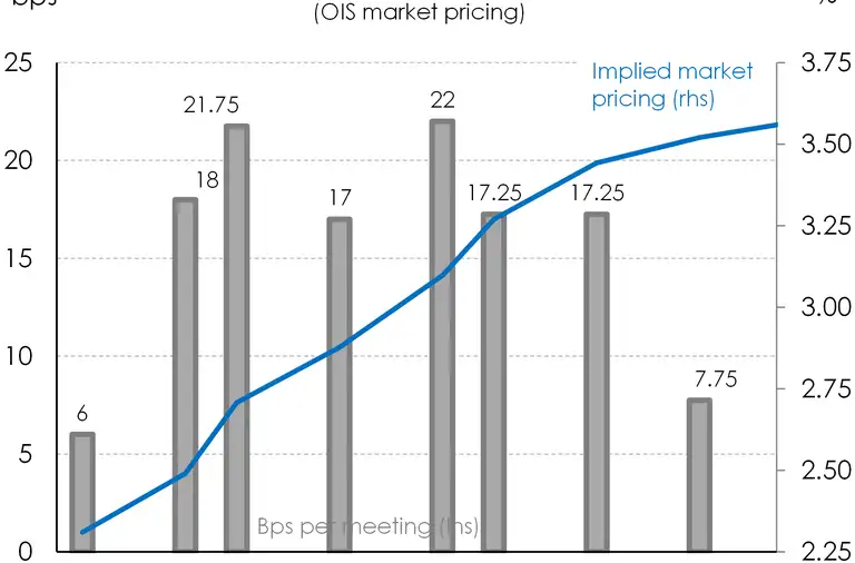 Graph of market pricing OIS curve